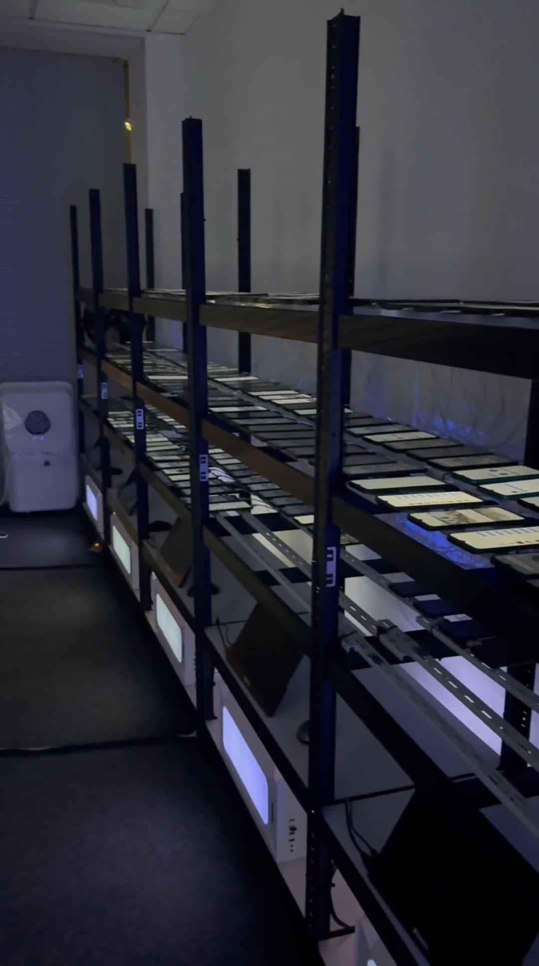 Rows of phones arranged on device racks